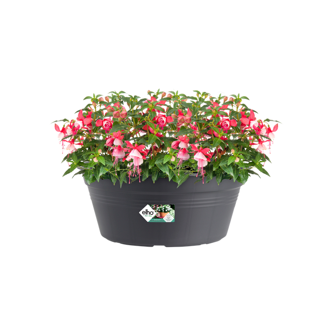 green basics bowl 38cm living black